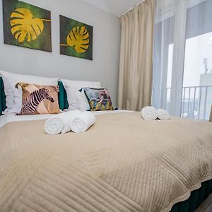 Deluxe Studio met een King Size Bed